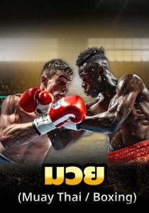 เดิมพันมวย ufakick